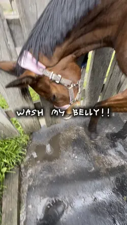 wash ma belly