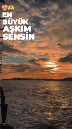 Yeni şablon 