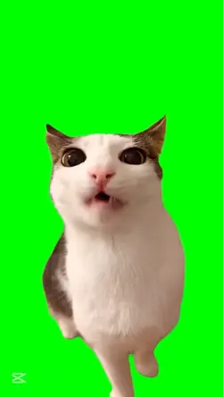 Green Screen