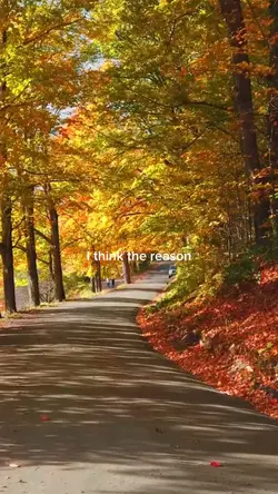 of the leaves