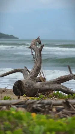 Cinematic kece 