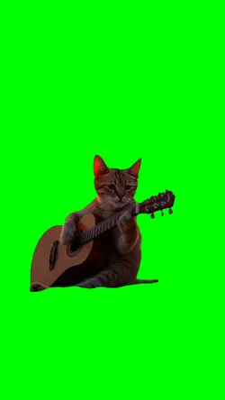 Cat Playing Guitar