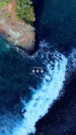 Vitamin SEA