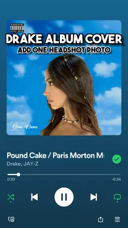 Drake album cover💿