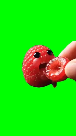 NICHE FRUIT