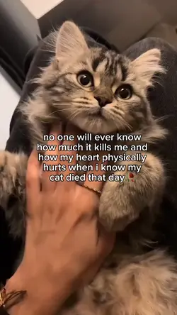 No one will ever knw