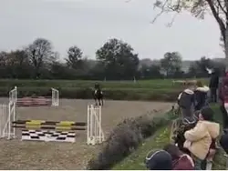 Saut