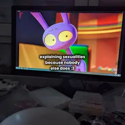 explain sexualities