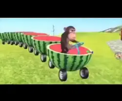 maymunnğğ