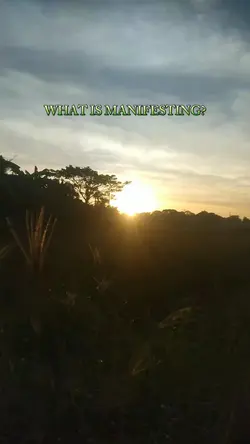 WHAT IS MANIFESTING?