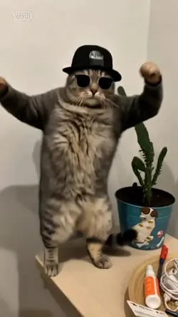 Dance Pet