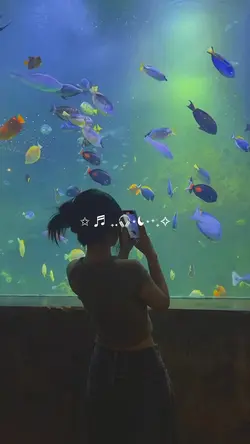 Mini Vlog 14 clips