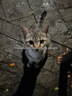 untung ada dia