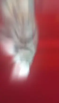Édit❤️