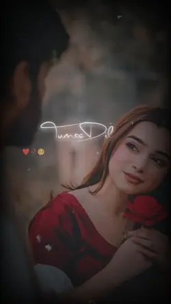 Tumse dil jo lagaya 
