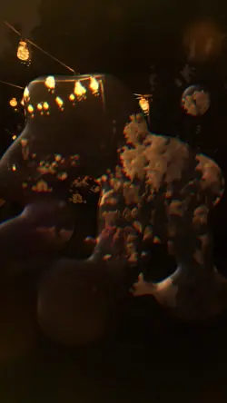Light bulbs 