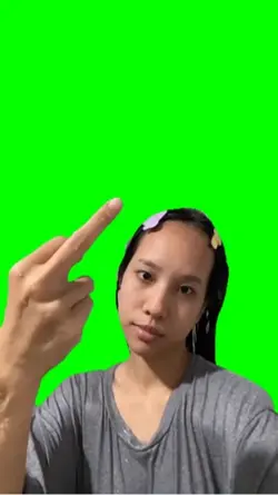 middle finger meme