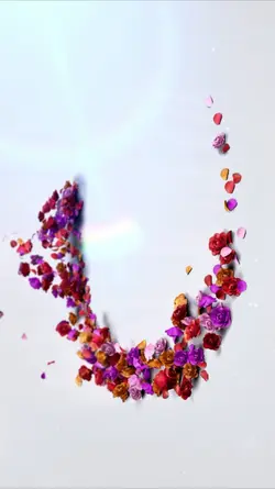 floral intro