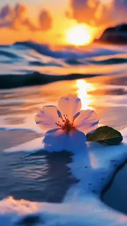 Slowmotion video 🌸🌊✨