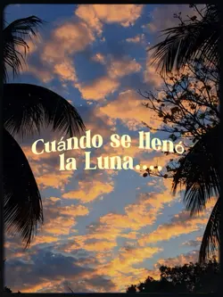 ✨🌙