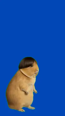 Hamster left,right