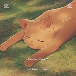BittiCanım:D