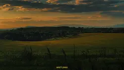 Aesthetic 