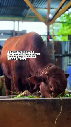 idul Adha 