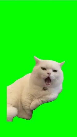 CAT TURBO SOUND