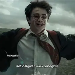 HARRY POTTER 
