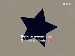 A101 