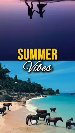 Summer Vibes 