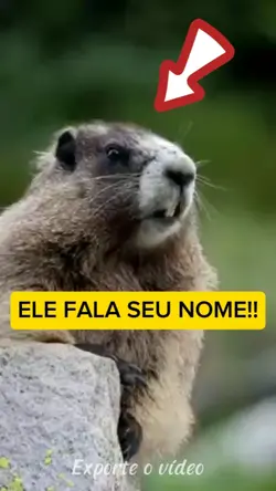 Ele fala seu nome