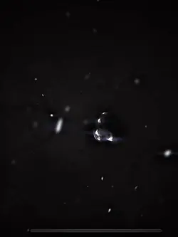 FF Black