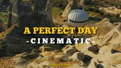 - PERFECT DAY -