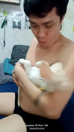 wag simangutan