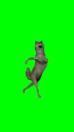 Dancing wolf meme