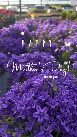 mothersday
