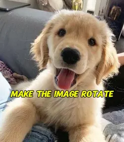 image rotate