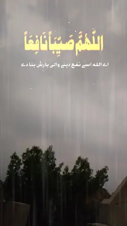 Rainy day 