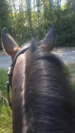 slowmo