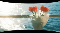 3D carousel
