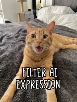 Pet Expression 
