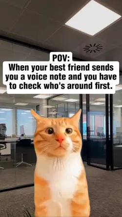 Voice Note Warning