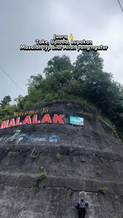 Affiliate Pemula