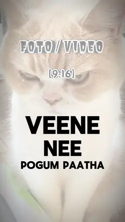 Soddu sodda 