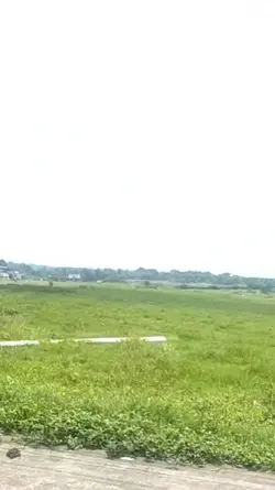 nature vibes