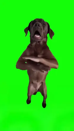 If You Grab Me