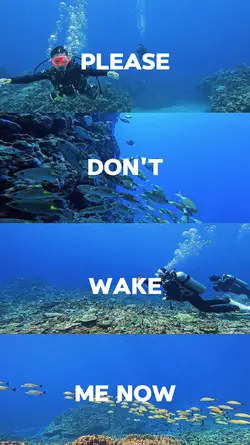 Summer Underwater 