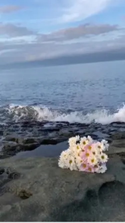 Pinterest video 